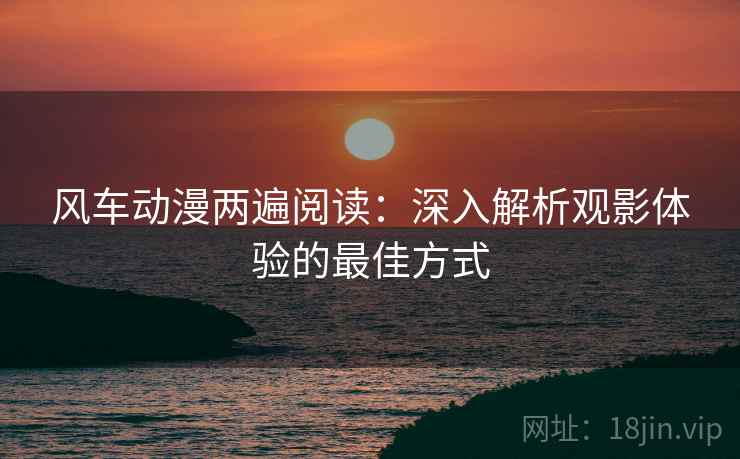 风车动漫两遍阅读：深入解析观影体验的最佳方式