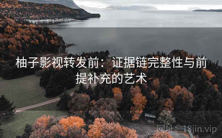 柚子影视转发前：证据链完整性与前提补充的艺术
